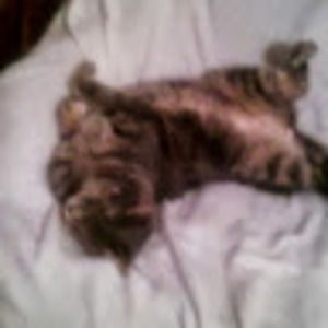 Meet your Posher, Scott